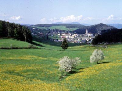 Garni Waldfrieden 호텔 카스텔로토 외부 사진